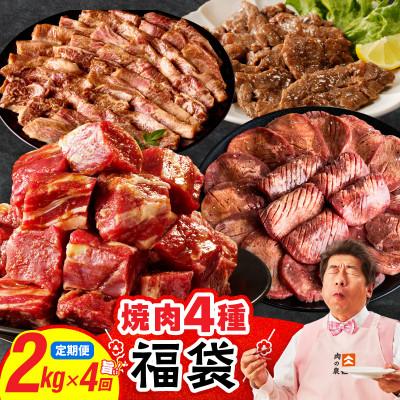 ふるさと納税 泉佐野市 [毎月定期便]焼肉福袋4種セット定期便2kg[氷温熟成×特製ダレ]全4回mrz