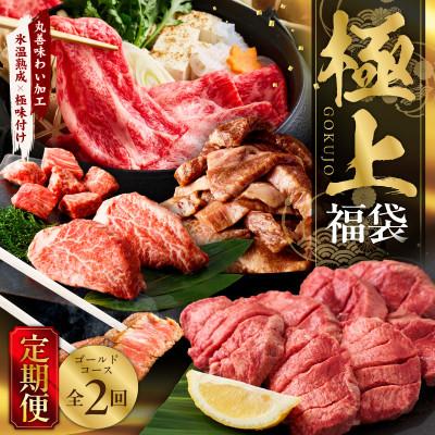 ふるさと納税 泉佐野市 [毎月定期便]極上福袋 ゴールドコース [5種 食べ比べ 氷温熟成×極味付け] mrzZ029全2回