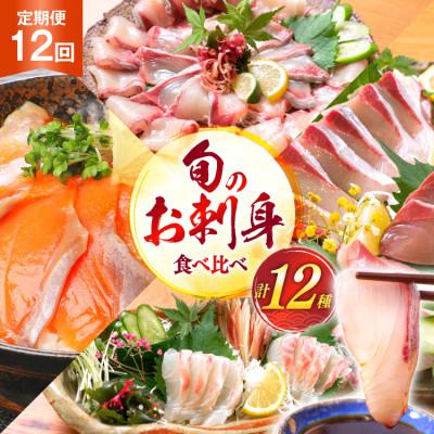 ふるさと納税 日向市 [毎月定期便]刺身 柵 旬のお刺身 全12回