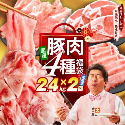 ふるさと納税 泉佐野市 [毎月定期便]国産豚肉 4種 2.4kg[氷温熟成×極味付け] mrzZ023全2回