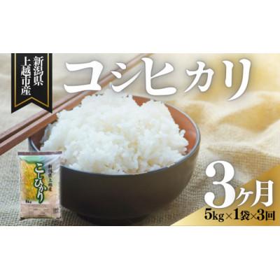 ふるさと納税 上越市 [発送月固定定期便][4月上旬より発送予定]新潟県上越市産 コシヒカリ 精米 5kg全3回