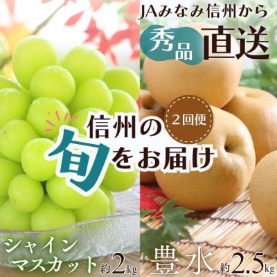 ふるさと納税 豊丘村 [発送月固定定期便]南信州で人気のフルーツ!旬の豊水梨とシャインマスカット全2回