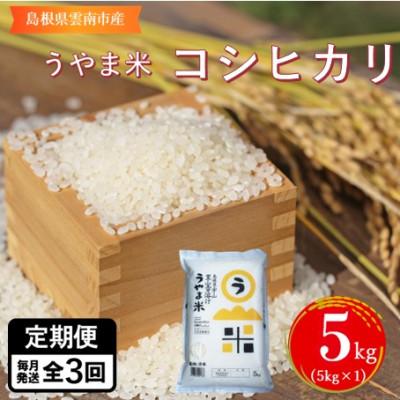 ふるさと納税 雲南市 [毎月定期便]神話の里/吉田町「うやま米」コシヒカリ 5kg(5kg×1)全3回