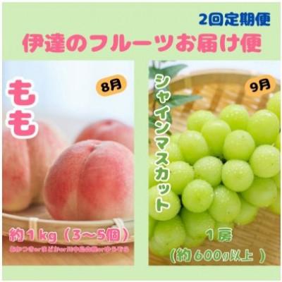 ふるさと納税 伊達市 [発送月固定定期便]伊達のフルーツ2種お届け便もも・シャインマスカット全2回