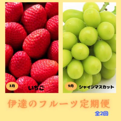 ふるさと納税 伊達市 [発送月固定定期便]伊達のフルーツ 2種お届け便 いちご・シャインマスカット全2回