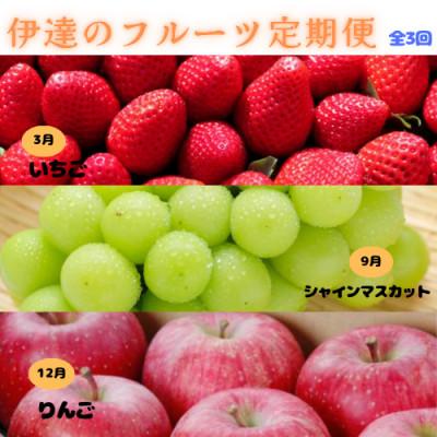 ふるさと納税 伊達市 [発送月固定定期便]伊達のフルーツ 3種お届け便 いちご・シャイマスカット・りんご全3回