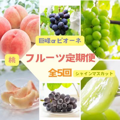 ふるさと納税 伊達市 [2週間毎定期便]伊達なフルーツ定期便(もも3種×2kg・ぶどう2種)全5回