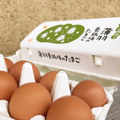 ふるさと納税 益子町 [毎月定期便]黒麹育ちの赤たまご30個全12回