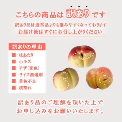 ふるさと納税 笛吹市 【発送月固定定期便】訳あり 山梨 人気の果物 桃・巨峰・シャインマスカット全3回 |  | 01