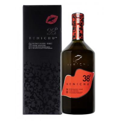 ふるさと納税 若狭町 [発送月固定定期便]1か月ごとにお届け!無糖梅酒 BENICHU38° 750ml 全12回