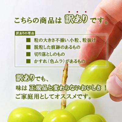 ふるさと納税 笛吹市 【発送月固定定期便】訳ありフルーツ定期便 桃1kg×シャインマスカット約400g(1〜2房)全2回の画像