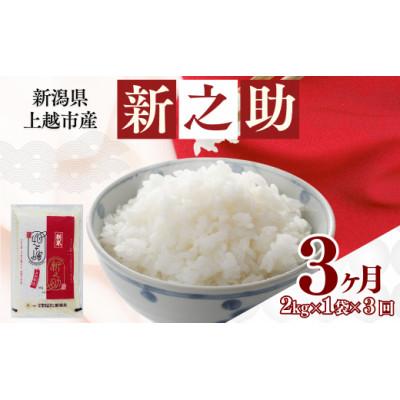 ふるさと納税 上越市 [発送月固定定期便][4月上旬より発送予定]新潟県上越市産 新之助 精米 2kg全3回