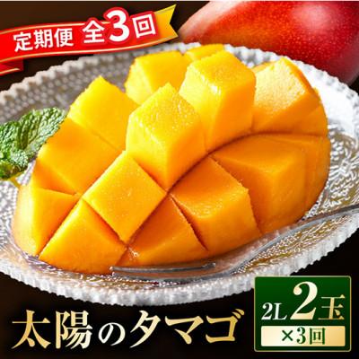 ふるさと納税 宮崎市 [発送月固定定期便]太陽のタマゴ定期便全3回