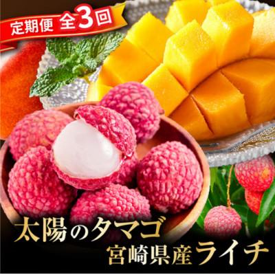 ふるさと納税 宮崎市 [発送月固定定期便]太陽のタマゴ・ライチ定期便全3回