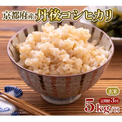ふるさと納税 京都府 【毎月定期便】京都府産 丹後コシヒカリ 玄米 5kg全3回 | 