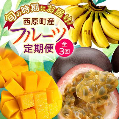ふるさと納税 西原町 [発送月固定定期便]JAおきなわ厳選フルーツセット(パッションフルーツ・マンゴー・島バナナ)全3回