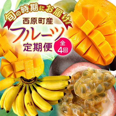 ふるさと納税 西原町 [発送月固定定期便]JAおきなわ厳選!季節の南国フルーツ 西原町の旬の味覚をお届け全4回