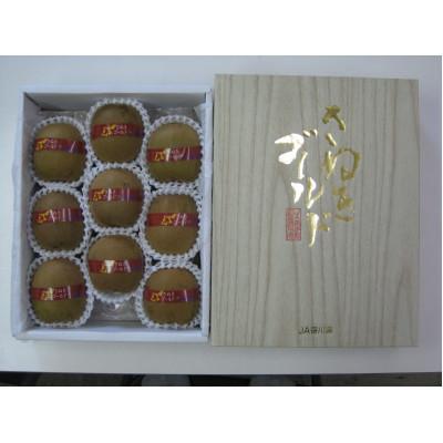 ふるさと納税 高松市 [発送月固定定期便][ALL化粧箱]高松市自慢のキウイフルーツ[A]全3回