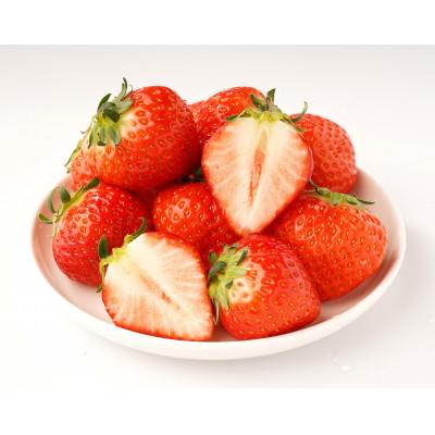 ふるさと納税 高松市 [発送月固定定期便]高松市自慢のいちご[A]全3回