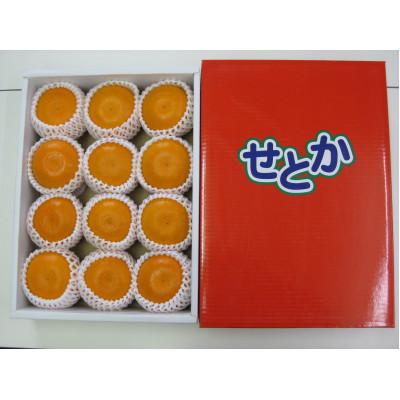 ふるさと納税 高松市 [発送月固定定期便][ALL化粧箱]高松市自慢のみかん・柑橘[B]全4回