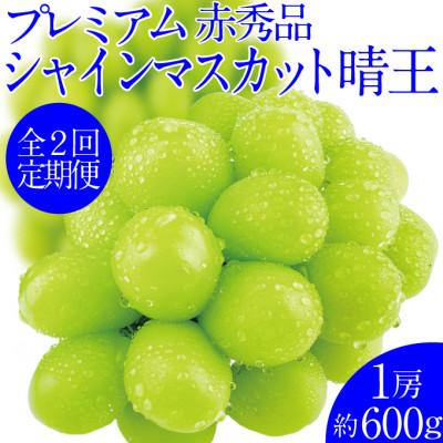 ふるさと納税 鏡野町 [発送月固定定期便]プレミアムシャインマスカット晴王 1房 約600g全2回