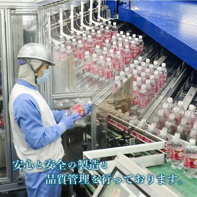 ふるさと納税 富士吉田市 【毎月定期便】【3ヶ月お届け!】強炭酸水 ウィルキンソン タンサン 1L×2箱(計24本)全3回の画像
