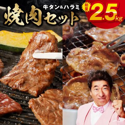 ふるさと納税 泉佐野市 [毎月定期便]牛タン&amp;牛ハラミ 焼肉セット 成型牛たん 訳あり 2.5kg×全2回