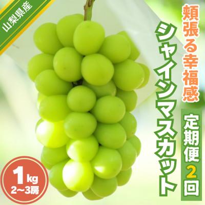 ふるさと納税 富士川町 [発送月固定定期便]頬張る幸福感 〜緑の宝石・シャインマスカット〜 1kg以上(2〜3房)全2回