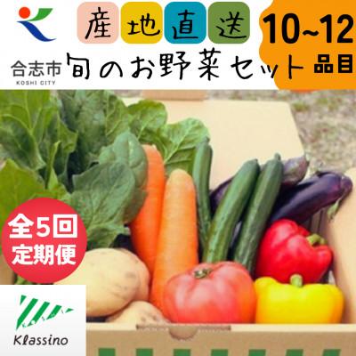 ふるさと納税 合志市 [発送月固定定期便]熊本県合志市の旬のお野菜セット10〜12品目全5回