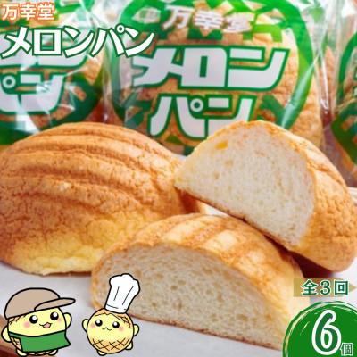 ふるさと納税 荒尾市 [毎月定期便]熊本県 荒尾市 メロンパン プレーン 冷凍 6個セット全3回