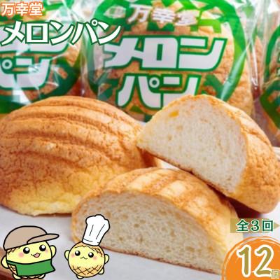 ふるさと納税 荒尾市 [毎月定期便][昔懐かしい味]万幸堂のメロンパン 12個セット全3回