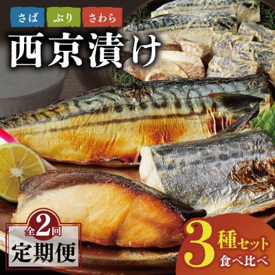 ふるさと納税 泉佐野市 [毎月定期便]厳選素材 西京漬け 3種食べ比べセット(さば/ぶり/さわら) 099Z469全2回