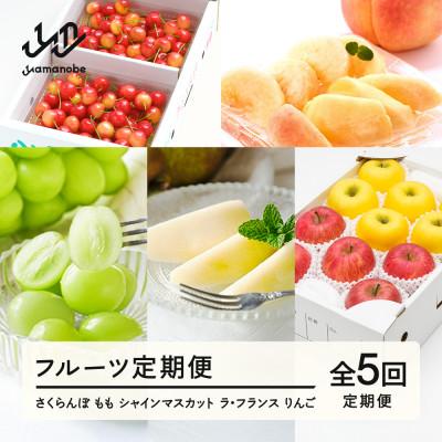 ふるさと納税 山辺町 [発送月固定定期便][春始まり]フルーツ定期便全5回