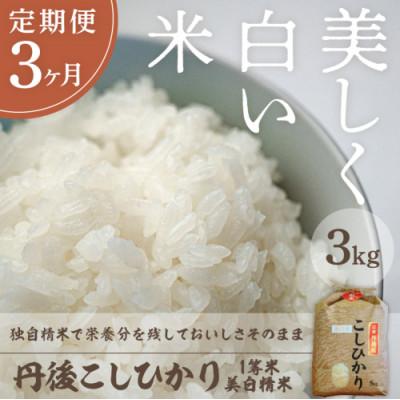 ふるさと納税 京丹後市 [毎月定期便]丹後こしひかり1等米3kg 美白精米全3回