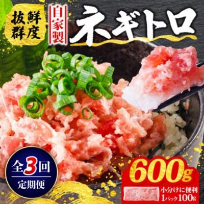ふるさと納税 松山市 [毎月定期便]ネギトロ 月1回 600g (100g×6パック) 小分け全3回
