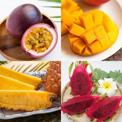 ふるさと納税 国頭村 [発送月固定定期便]南国フルーツセット(パッションフルーツ&amp;マンゴー&amp;パイン&amp;ドラゴンルーツ)全4回