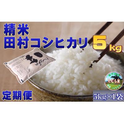 ふるさと納税 田村市 [毎月定期便]田村産 コシヒカリ 5kg 米 精米全6回