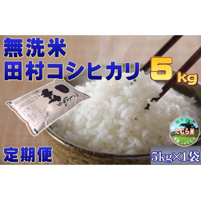 ふるさと納税 田村市 [毎月定期便]田村産 米 無洗米 コシヒカリ 5kg全3回
