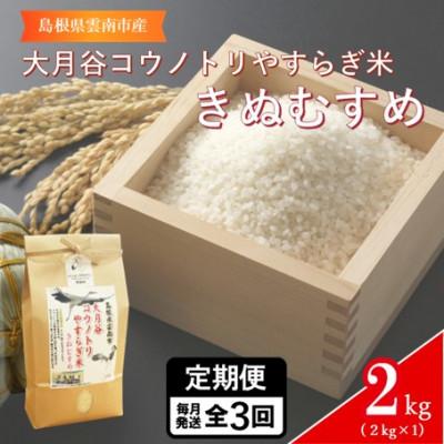 ふるさと納税 雲南市 [毎月定期便]島根県雲南市「大月谷コウノトリやすらぎ米」きぬむすめ 2kg(2kg×1)全3回