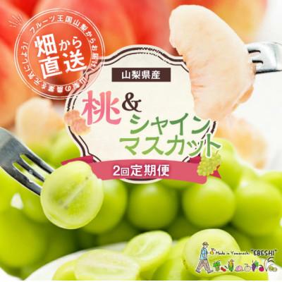 ふるさと納税 中央市 [発送月固定定期便]山梨県産 フルーツ[桃&amp;シャインマスカット]全2回
