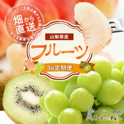 ふるさと納税 中央市 [発送月固定定期便]山梨県産 フルーツ[桃&amp;シャインマスカット&amp;キウイフルーツ]全3回