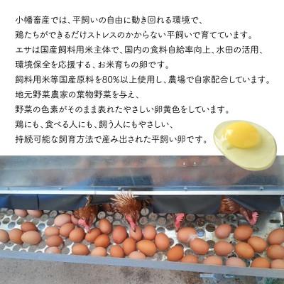 ふるさと納税 茨城町 【毎月定期便】平飼い 分かりやすい ひたち野 穂の香卵【毎月50個】全3回