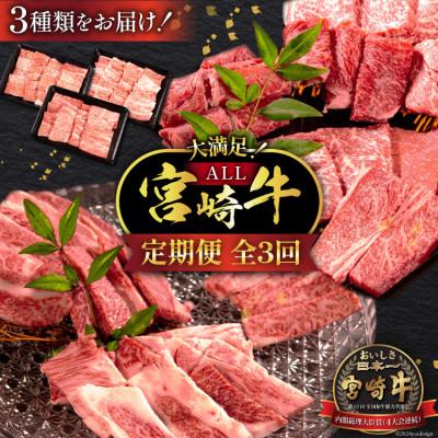 ふるさと納税 日向市 [毎月定期便]宮崎牛 バラエティAコース 計 1.3kg(日向市)全3回