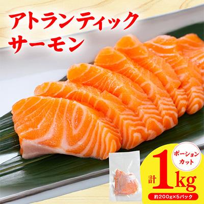 ふるさと納税 泉佐野市 [3ヵ月毎定期便]アトランティックサーモン 200g×5P 1kg×全2回