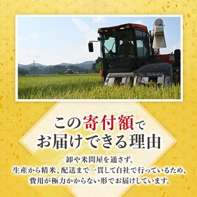 ふるさと納税 水戸市 【毎月定期便】特A評価 茨城県産 お米 コシヒカリ