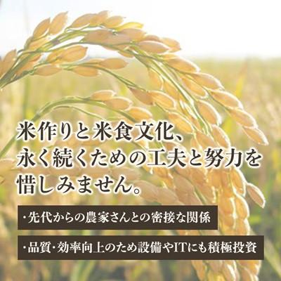 ふるさと納税 水戸市 【毎月定期便】特A評価 茨城県産 お米 コシヒカリ