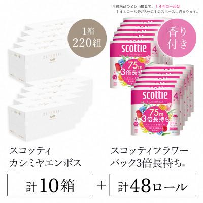ふるさと納税 福知山市 スコッティカシミヤエンボス 10箱 + トイレットロール48ロール[複数個口で配送]