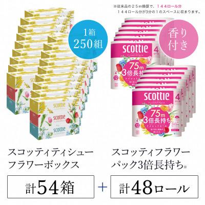 ふるさと納税 福知山市 ボックスティッシュ54箱+トイレットロール48ロール セット[複数個口で配送]