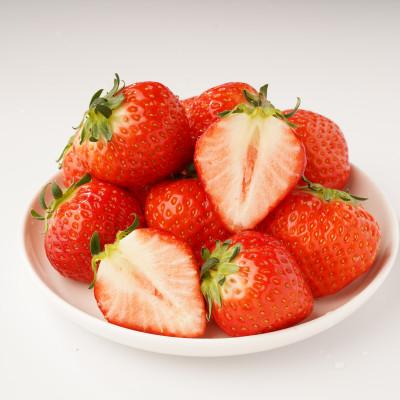 ふるさと納税 東かがわ市 [発送月固定定期便]東かがわ市さぬきひめ定期便全3回