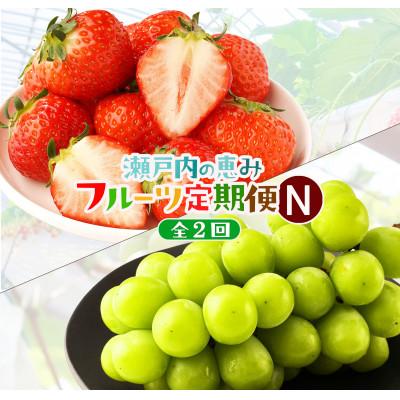 ふるさと納税 高松市 [発送月固定定期便]高松市自慢のフルーツ[N]全2回